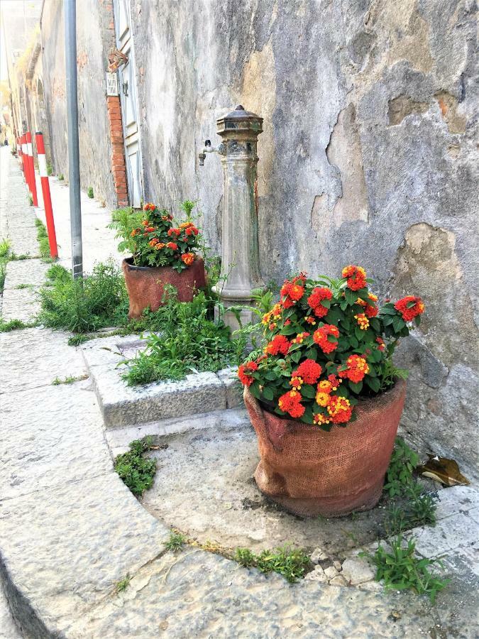 Villa With Rooftop Garden & Sea View Acireale Exterior foto